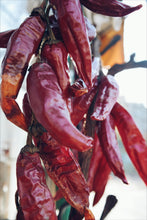 Load image into Gallery viewer, Harry Harvey Dried Long Red Chilli Whole | 50g
